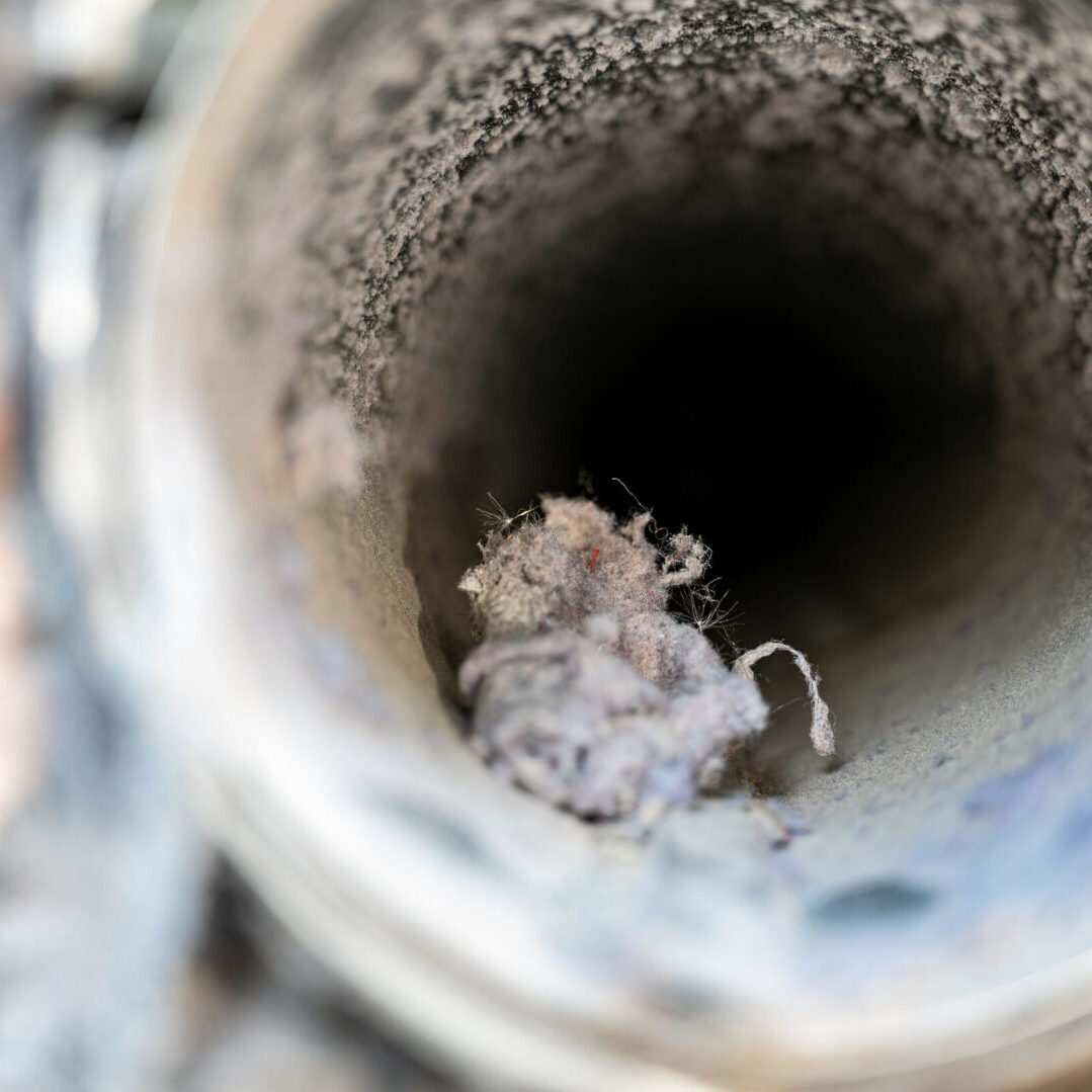 When's The Last Time You Had Your Dryer Vent Cleaned?