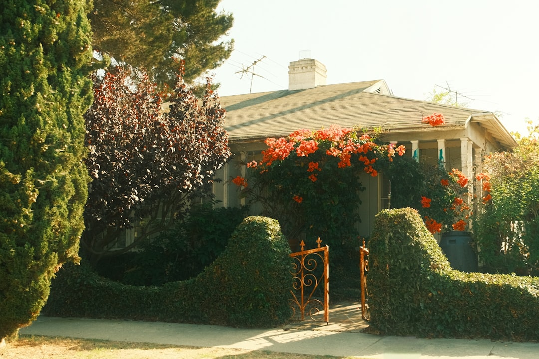 Chimney & Fireplace Services In Cypress CA 1 Chimney sweep and repair services in Cypress CA