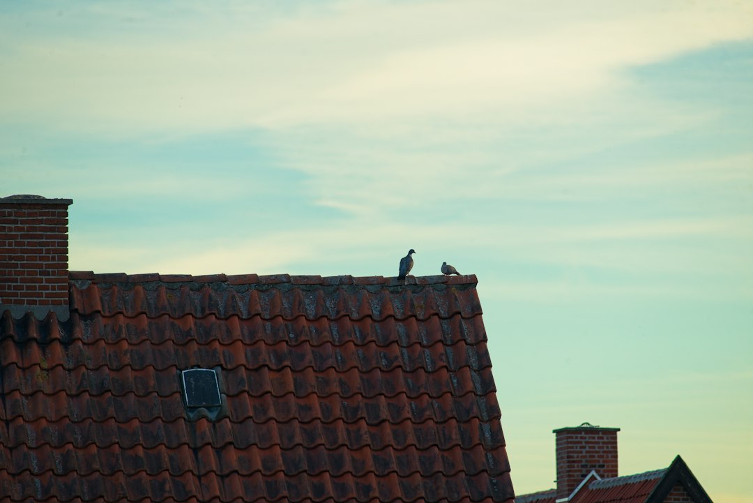 Chimney & Fireplace Services In Hermosa Beach CA 1 Chimney sweep and repair services in Hermosa Beach CA